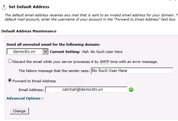 Nhập địa chỉ nhận email mặc định trong phần Default Address của cPanel